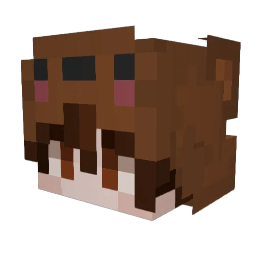 mostscaredguy Minecraft avatar head, 3D render