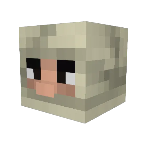 mosumiso Minecraft avatar head, 3D render