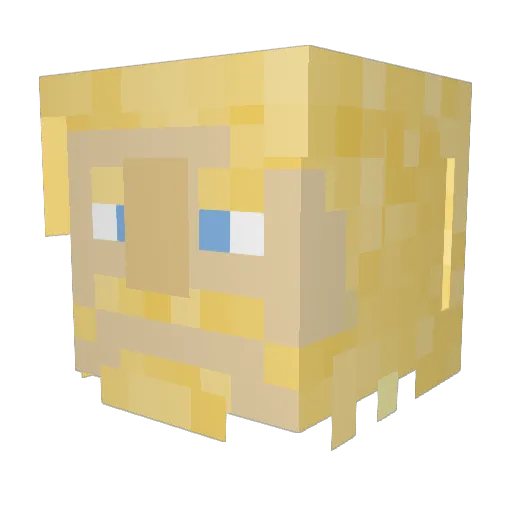 mot111 Minecraft avatar head, 3D render
