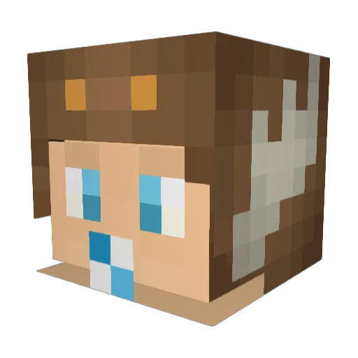 motherfuqer Minecraft avatar head, 3D render