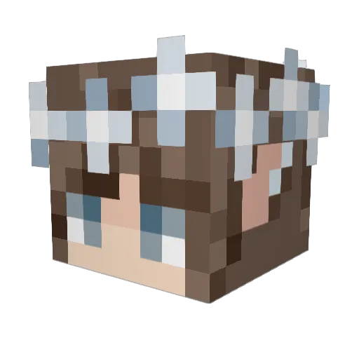 motherofcats477 Minecraft avatar head, 3D render