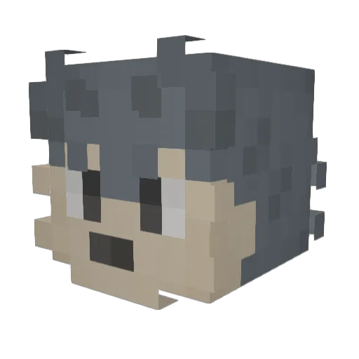 mothkaka Minecraft avatar head, 3D render