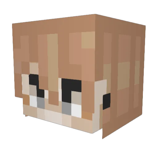 mothkat13 Minecraft avatar head, 3D render