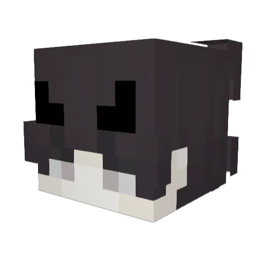 mothlikeslamp44 Minecraft avatar head, 3D render