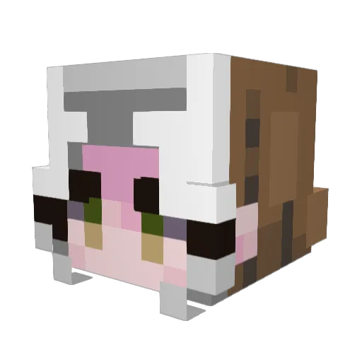 mothlory Minecraft avatar head, 3D render