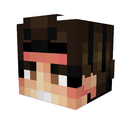 mothman4 Minecraft avatar head, 3D render