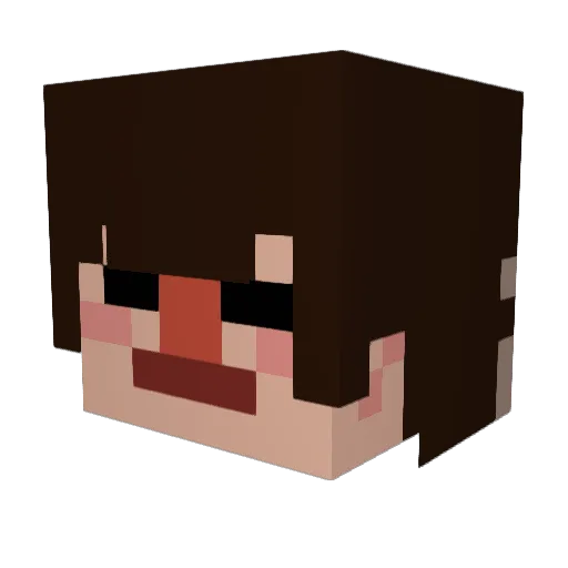 mothswithsocks Minecraft avatar head, 3D render