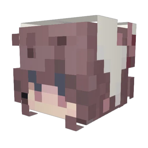 mothy_0 Minecraft avatar head, 3D render