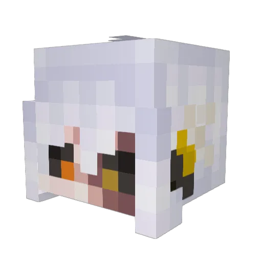 mottleyparasite Minecraft avatar head, 3D render