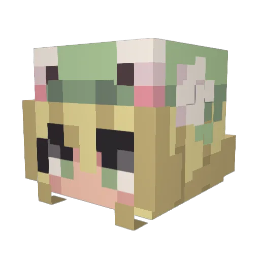 mouhoh Minecraft avatar head, 3D render