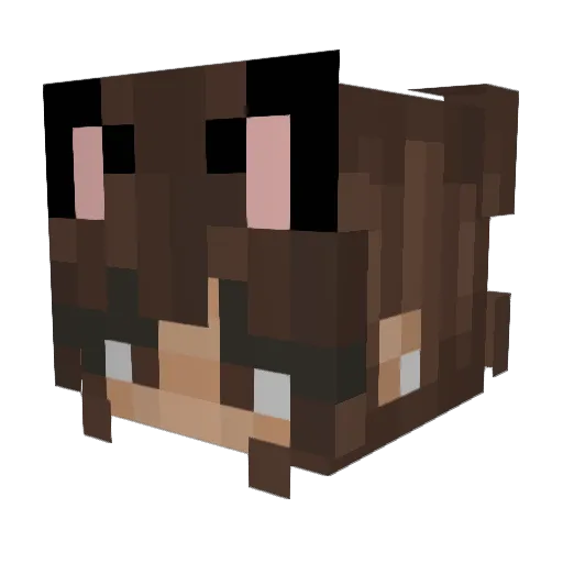 mounta1ns Minecraft avatar head, 3D render
