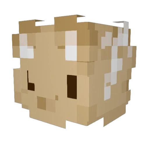 mournallot Minecraft avatar head, 3D render