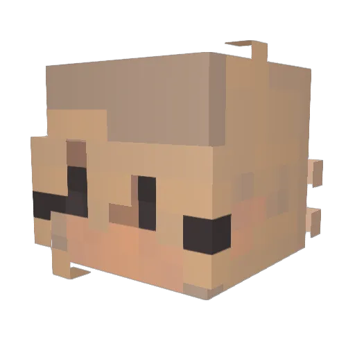mournite Minecraft avatar head, 3D render