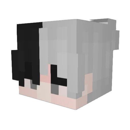 mouse0807 Minecraft avatar head, 3D render