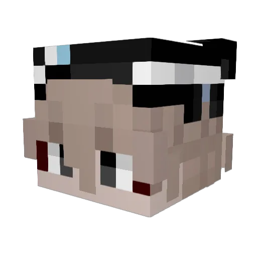 mouse_man258 Minecraft avatar head, 3D render