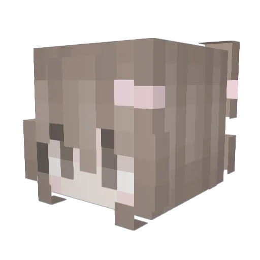 mowchh Minecraft avatar head, 3D render