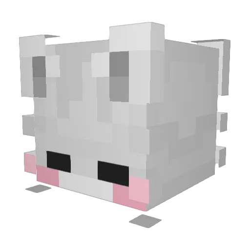 mpgoxn Minecraft avatar head, 3D render