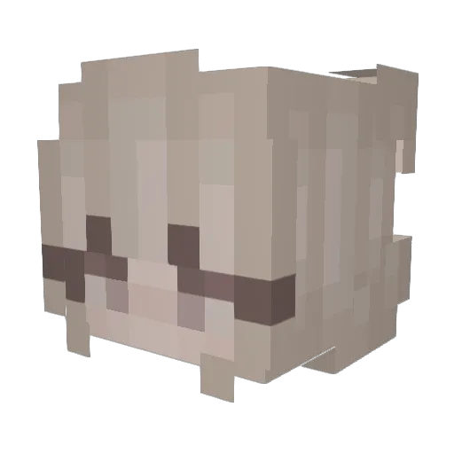 mphflowers72 Minecraft avatar head, 3D render
