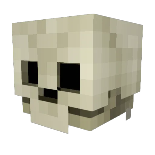 mphockey10 Minecraft avatar head, 3D render
