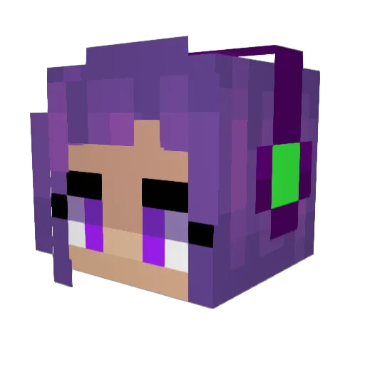 mpweezy101 Minecraft avatar head, 3D render