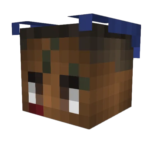 mqcel Minecraft avatar head, 3D render