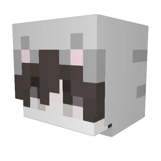 mqe2 Minecraft avatar head, 3D render