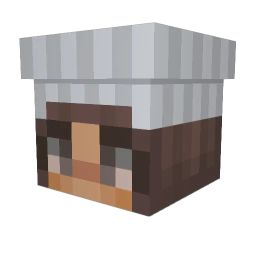 mr0gan Minecraft avatar head, 3D render