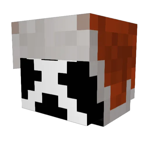 mr1ayer Minecraft avatar head, 3D render