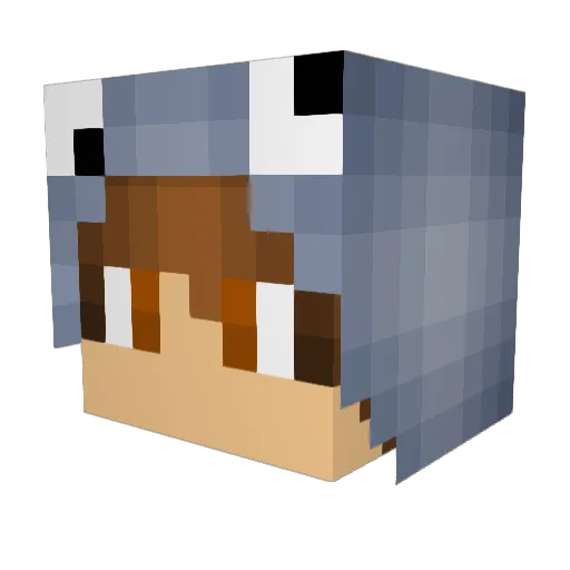 mr4k1c Minecraft avatar head, 3D render