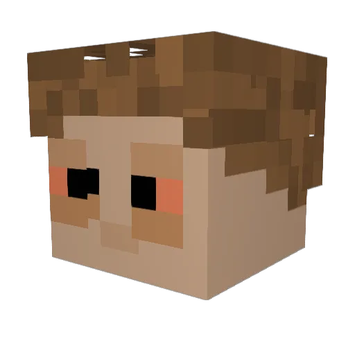 mr9brawler Minecraft avatar head, 3D render
