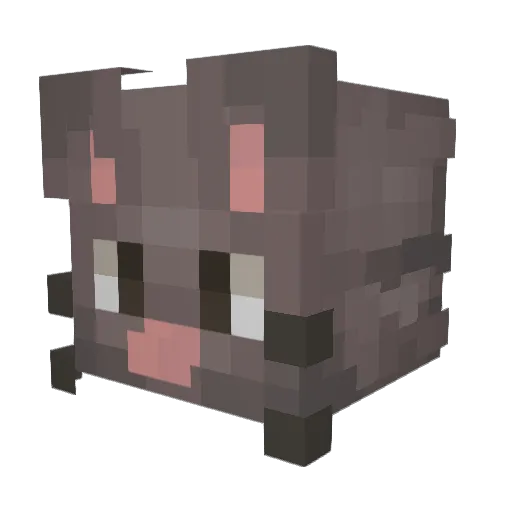 mrRatss Minecraft avatar head, 3D render