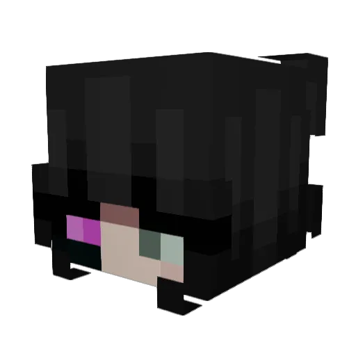 mrRetard1 Minecraft avatar head, 3D render
