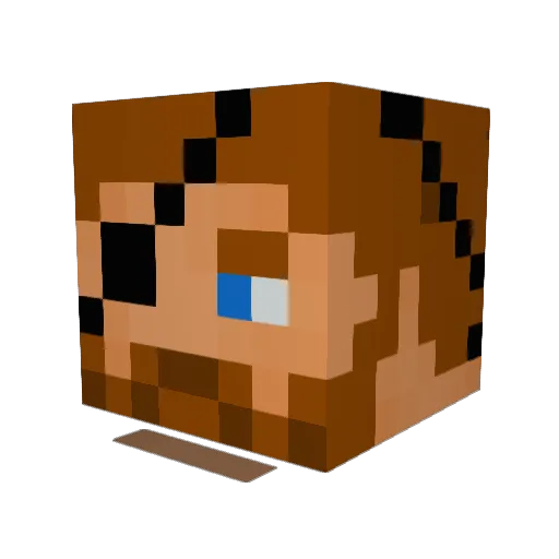 mr_Skywalkr Minecraft avatar head, 3D render