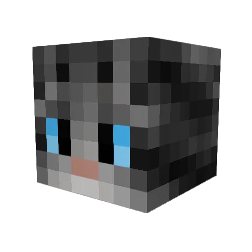 mr__kotik___ Minecraft avatar head, 3D render