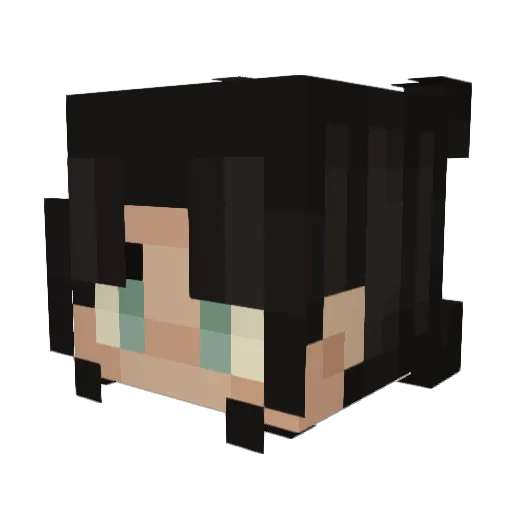 mr__nubbs Minecraft avatar head, 3D render