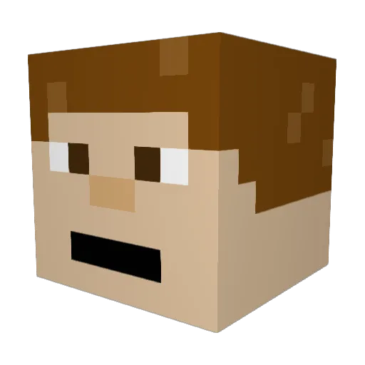 mr_assasin33 Minecraft avatar head, 3D render