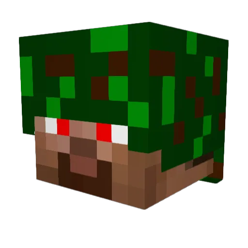 mr_crazy_craft Minecraft avatar head, 3D render