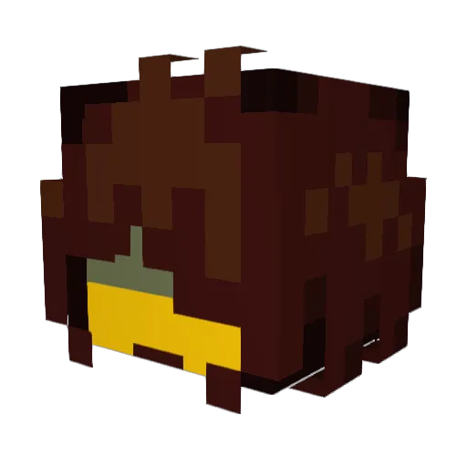 mr_dogelu Minecraft avatar head, 3D render
