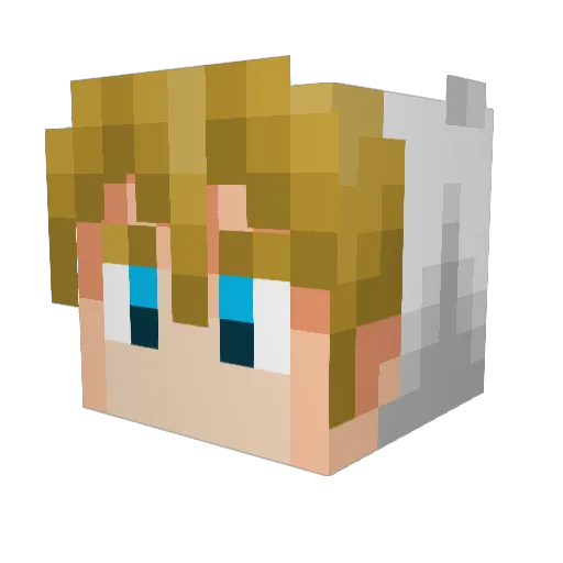 mr_fatsack Minecraft avatar head, 3D render