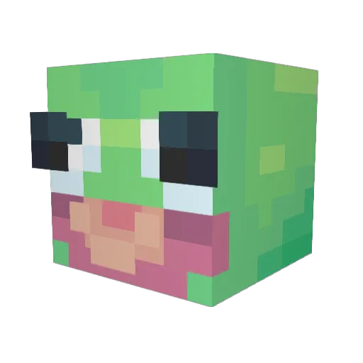 mr_frog88 Minecraft avatar head, 3D render