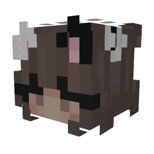mr_frogzz Minecraft avatar head, 3D render