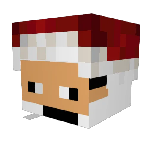 mr_joel043 Minecraft avatar head, 3D render