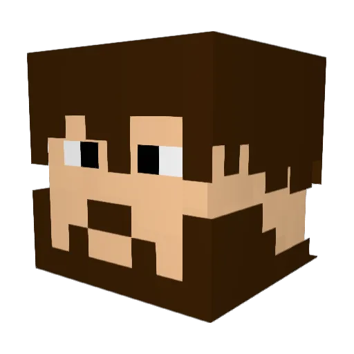 mr_know_name Minecraft avatar head, 3D render