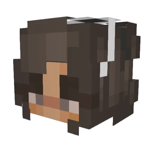 mr_noobs2 Minecraft avatar head, 3D render