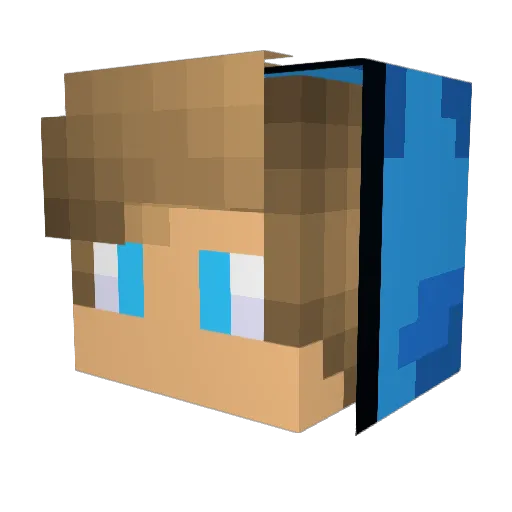 mr_pise2811 Minecraft avatar head, 3D render