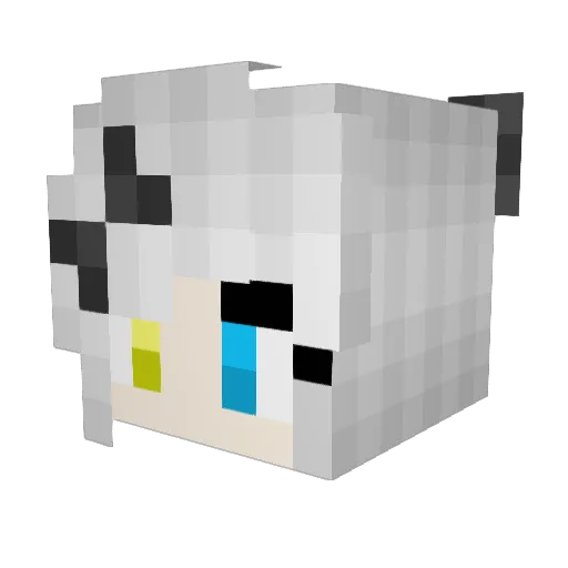mr_roa Minecraft avatar head, 3D render