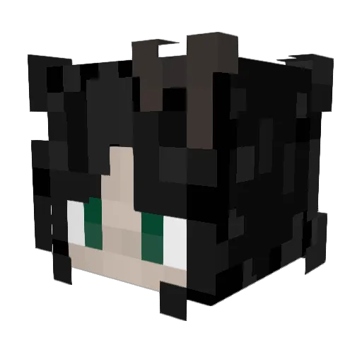 mr_sb_daddy Minecraft avatar head, 3D render