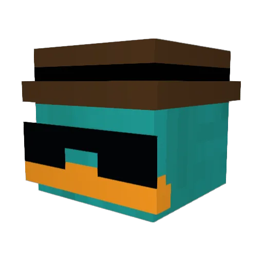 mr_stinky228 Minecraft avatar head, 3D render