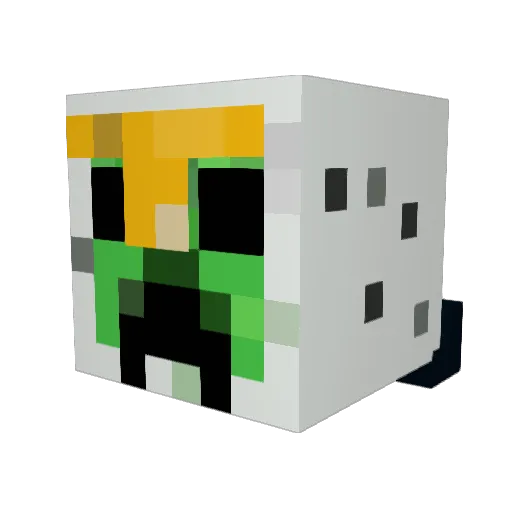 mr_sushi31 Minecraft avatar head, 3D render
