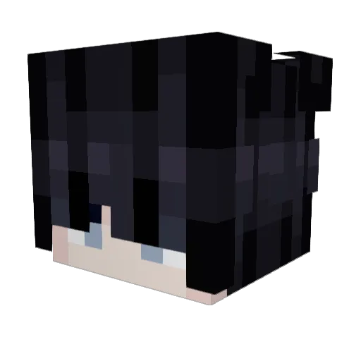 mr_toast_T Minecraft avatar head, 3D render